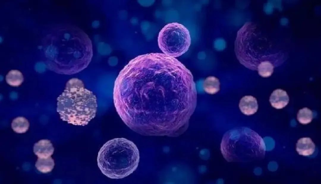存钱不如存健康！您了解免疫细胞存储吗？