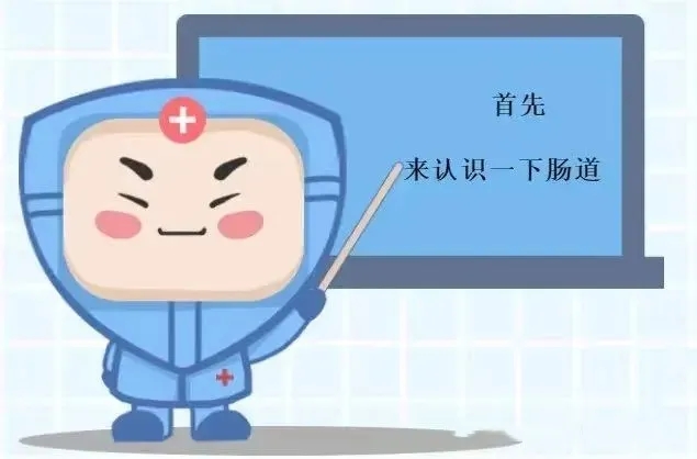 懂得“肠”寿，才能长寿