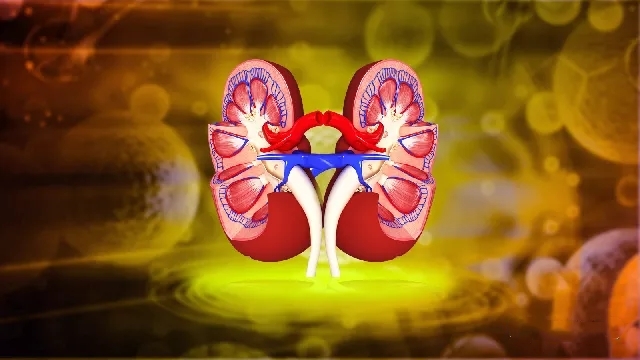 间充质干细胞：急性肾损伤治疗的新利器